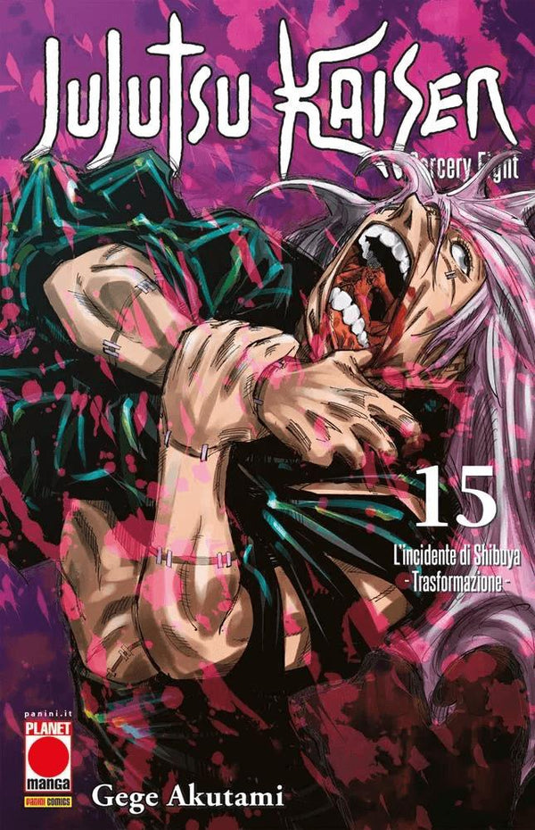 JUJUTSU KAISEN SORCERY FIGHT 15 RIS